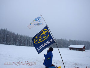 Tryck f&ouml;r st&ouml;rre bild!